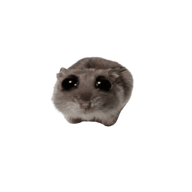 $HAMMY - Sad Hamster Meme